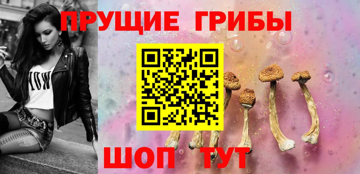 Псилоцибиновые грибы Psilocybine cubensis Рубцовск