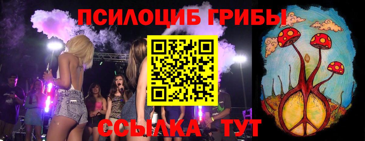 Галлюциногенные грибы Cubensis  Псилоцибиновые грибы мухоморы  Вход с VPN  Рубцовск 